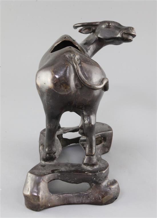 A Chinese bronze buffalo bronze censer, Ming dynasty, length approx. 35.5cm, cover lacking